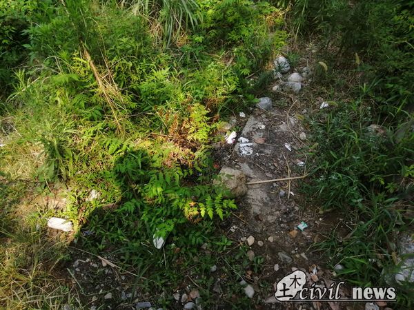 1566310272521034457.jpg 4.jpg