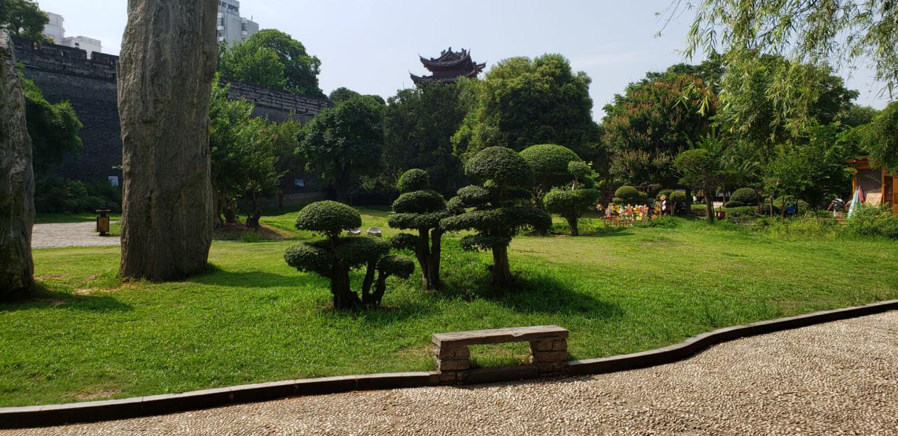 1564307730407071366.png 1564307730407071366.png